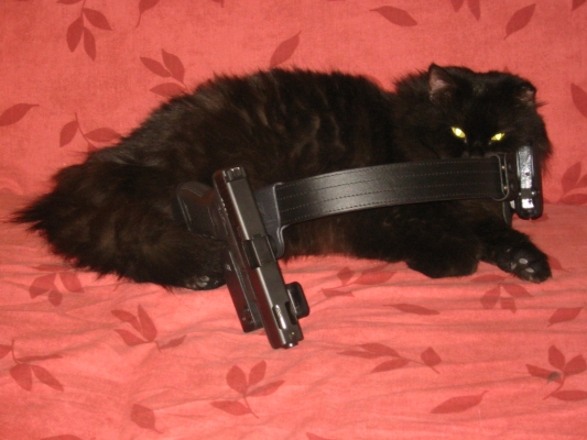 My Glock
Our Cat named "Sushi" loves my new Sickinger-belt with my Glock 17C in an H&S CW5 Speedholster....looks dangerous ;-)

Regards from Vienna/ Austria
